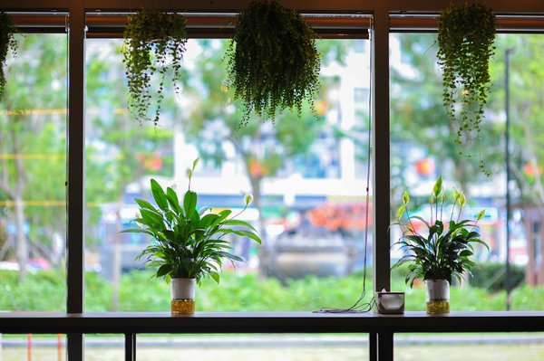 L'école à la maison : évolution moderne ou choix incontournable ?