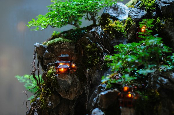 Découverte des Épices : Manuel Essentiel pour les Novices